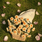 Valori Bouquet Blanket